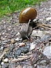 ITR_2011_207.jpg